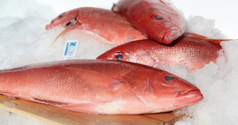 what-does-red-snapper-taste-like